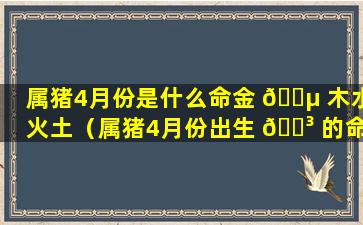 属猪4月份是什么命金 🐵 木水火土（属猪4月份出生 🌳 的命运怎么样）